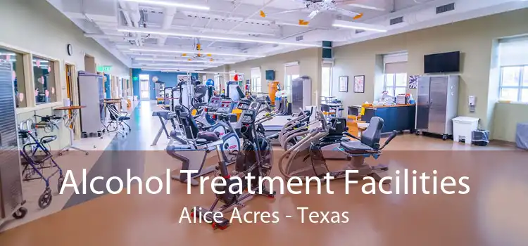 Alcohol Treatment Facilities Alice Acres - Texas