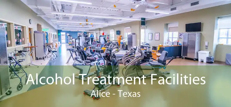 Alcohol Treatment Facilities Alice - Texas
