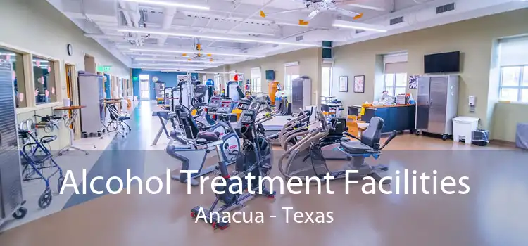 Alcohol Treatment Facilities Anacua - Texas