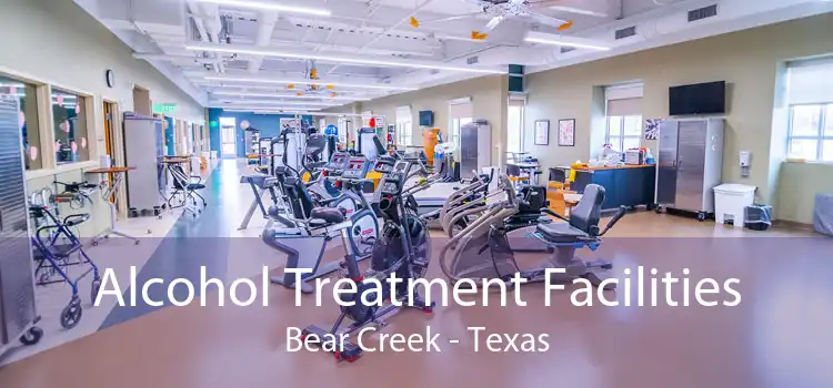 Alcohol Treatment Facilities Bear Creek - Texas