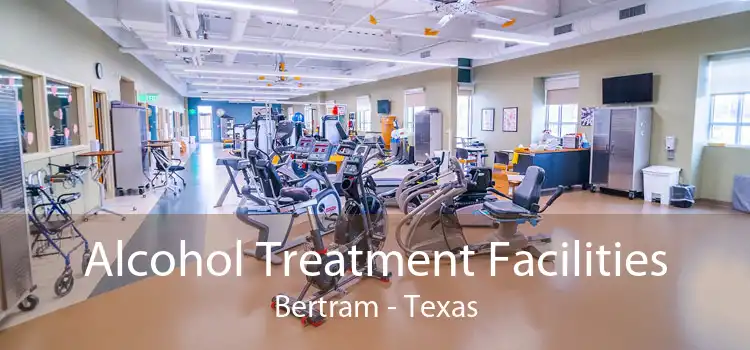 Alcohol Treatment Facilities Bertram - Texas