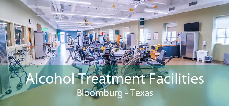 Alcohol Treatment Facilities Bloomburg - Texas