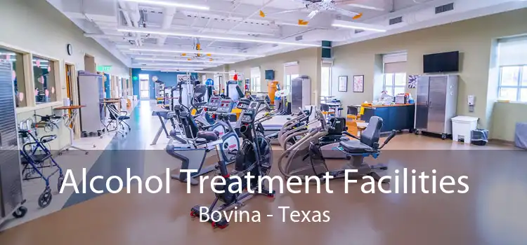 Alcohol Treatment Facilities Bovina - Texas
