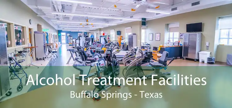 Alcohol Treatment Facilities Buffalo Springs - Texas