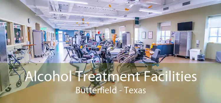Alcohol Treatment Facilities Butterfield - Texas