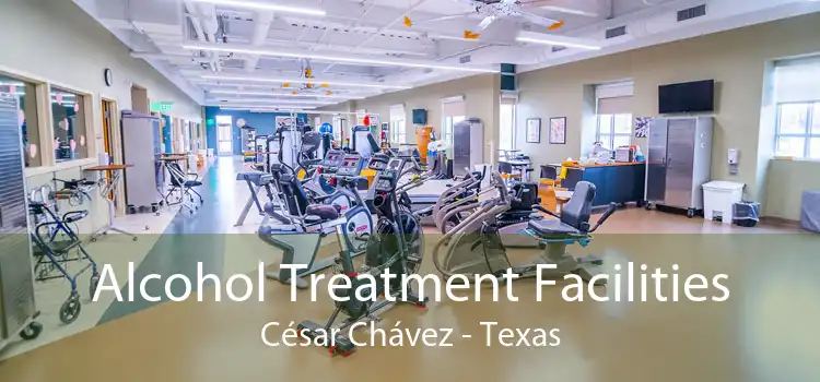 Alcohol Treatment Facilities César Chávez - Texas