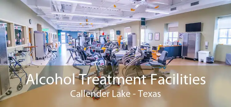 Alcohol Treatment Facilities Callender Lake - Texas