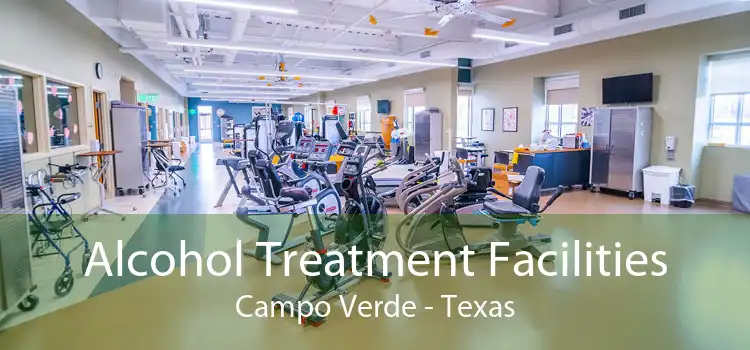 Alcohol Treatment Facilities Campo Verde - Texas