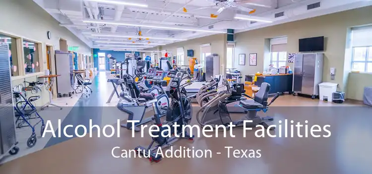 Alcohol Treatment Facilities Cantu Addition - Texas
