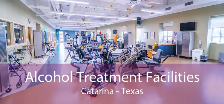 Alcohol Treatment Facilities Catarina - Texas