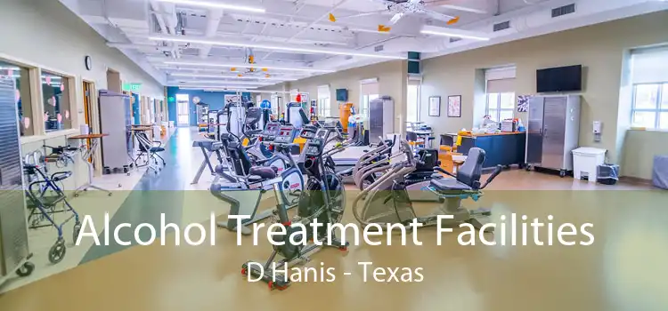 Alcohol Treatment Facilities D Hanis - Texas