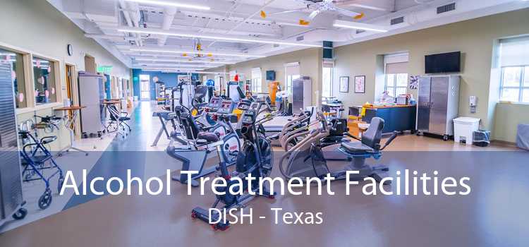 Alcohol Treatment Facilities DISH - Texas