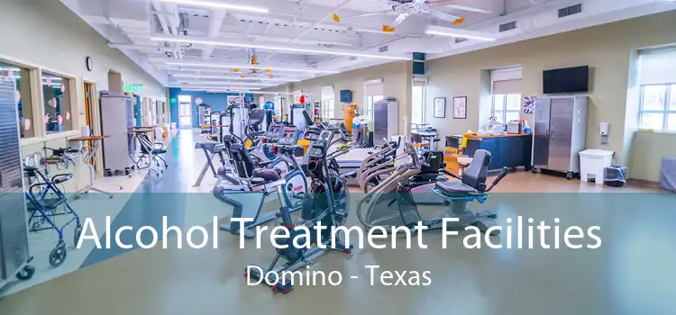 Alcohol Treatment Facilities Domino - Texas