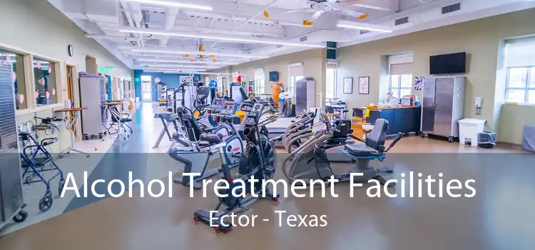 Alcohol Treatment Facilities Ector - Texas
