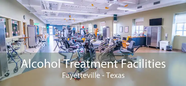 Alcohol Treatment Facilities Fayetteville - Texas