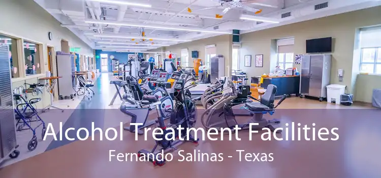 Alcohol Treatment Facilities Fernando Salinas - Texas