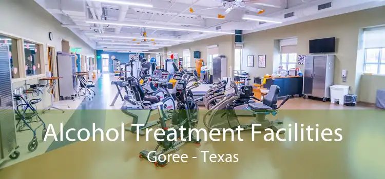 Alcohol Treatment Facilities Goree - Texas