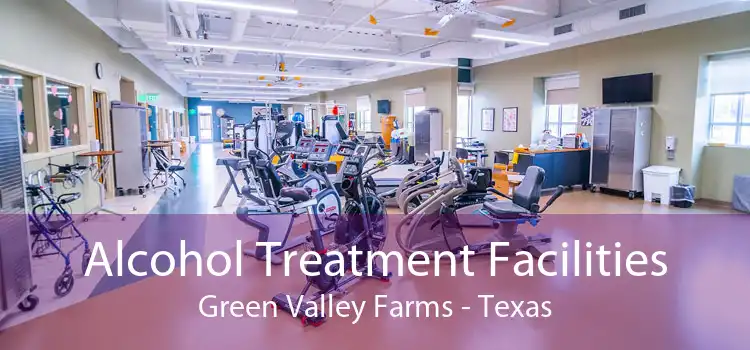 Alcohol Treatment Facilities Green Valley Farms - Texas