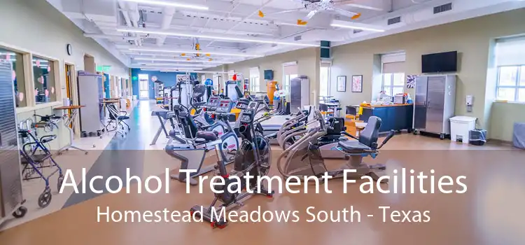 Alcohol Treatment Facilities Homestead Meadows South - Texas