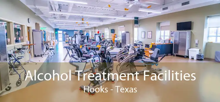 Alcohol Treatment Facilities Hooks - Texas