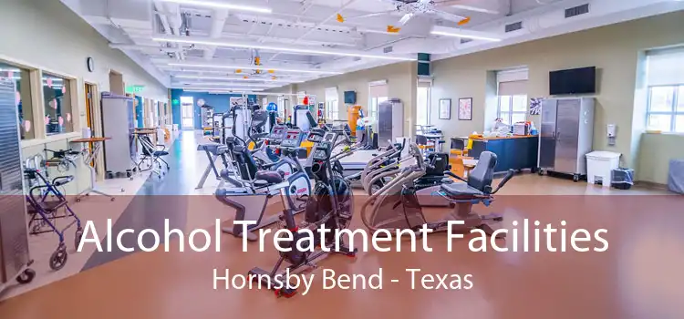 Alcohol Treatment Facilities Hornsby Bend - Texas