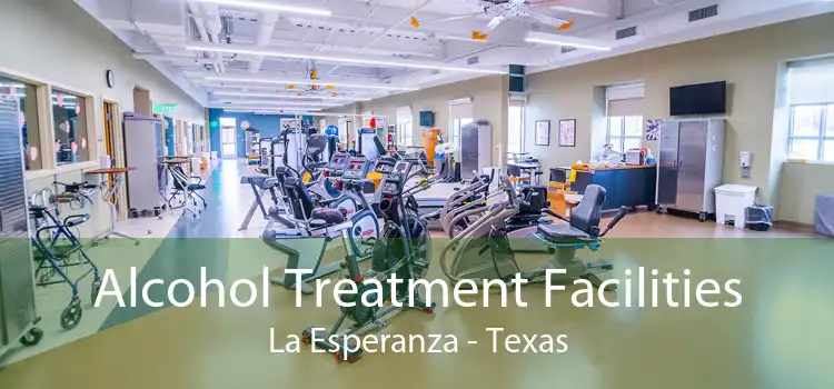 Alcohol Treatment Facilities La Esperanza - Texas