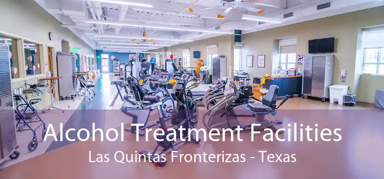 Alcohol Treatment Facilities Las Quintas Fronterizas - Texas