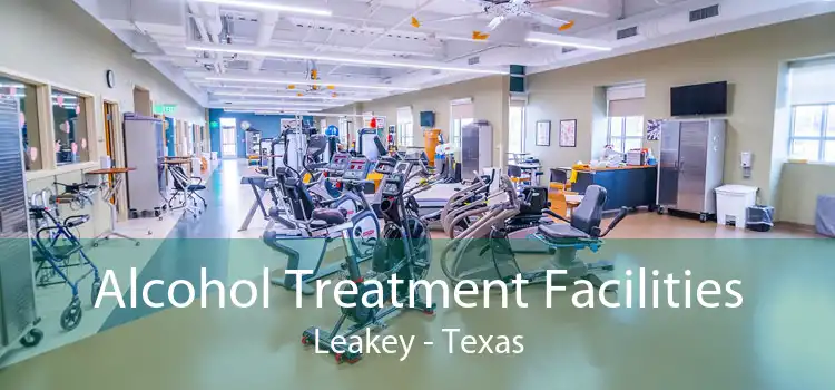 Alcohol Treatment Facilities Leakey - Texas