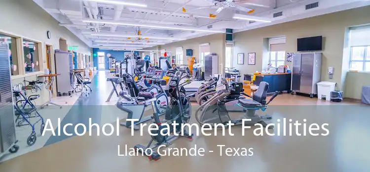 Alcohol Treatment Facilities Llano Grande - Texas