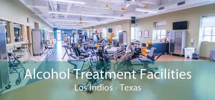 Alcohol Treatment Facilities Los Indios - Texas