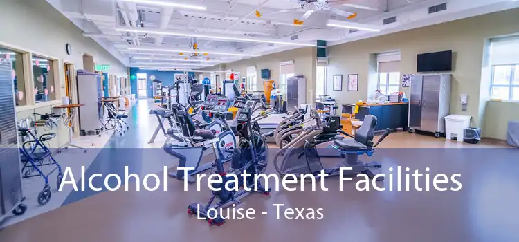 Alcohol Treatment Facilities Louise - Texas