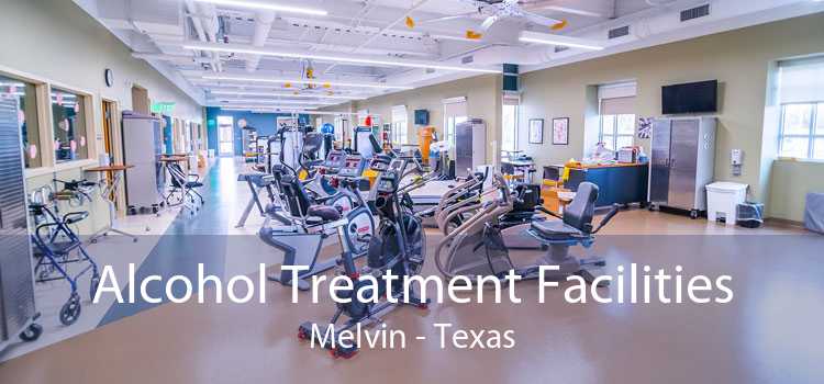 Alcohol Treatment Facilities Melvin - Texas