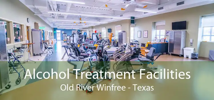 Alcohol Treatment Facilities Old River Winfree - Texas
