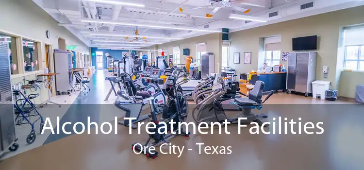 Alcohol Treatment Facilities Ore City - Texas
