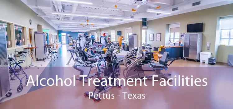 Alcohol Treatment Facilities Pettus - Texas