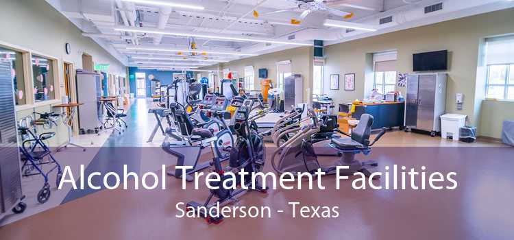 Alcohol Treatment Facilities Sanderson - Texas