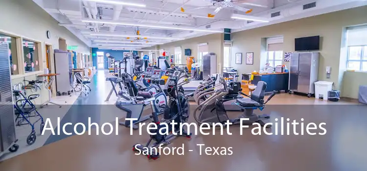 Alcohol Treatment Facilities Sanford - Texas