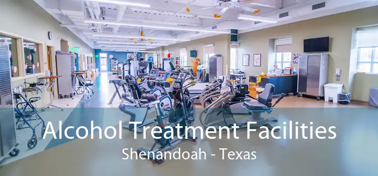 Alcohol Treatment Facilities Shenandoah - Texas