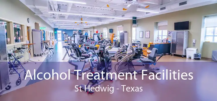 Alcohol Treatment Facilities St Hedwig - Texas