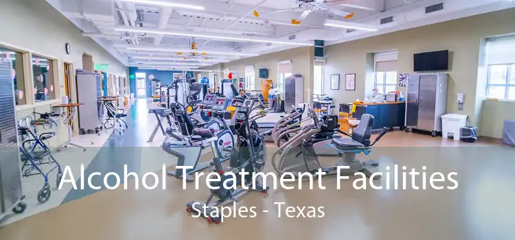 Alcohol Treatment Facilities Staples - Texas
