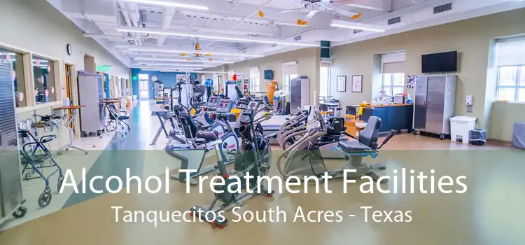 Alcohol Treatment Facilities Tanquecitos South Acres - Texas