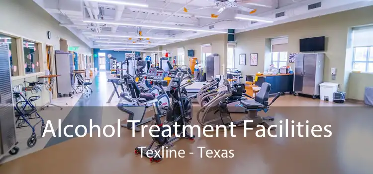 Alcohol Treatment Facilities Texline - Texas