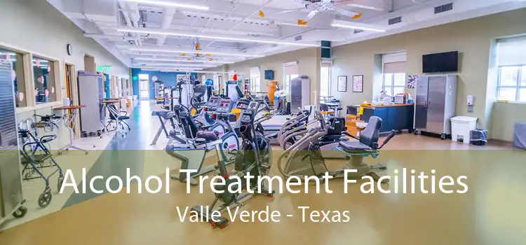 Alcohol Treatment Facilities Valle Verde - Texas