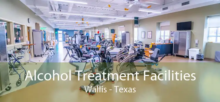 Alcohol Treatment Facilities Wallis - Texas