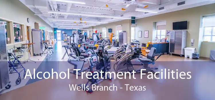 Alcohol Treatment Facilities Wells Branch - Texas