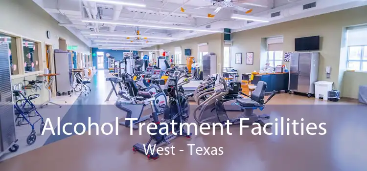 Alcohol Treatment Facilities West - Texas