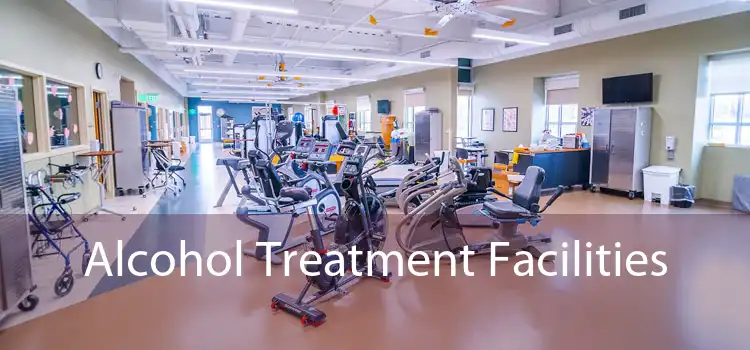 Alcohol Treatment Facilities