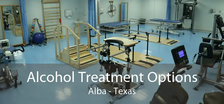 Alcohol Treatment Options Alba - Texas