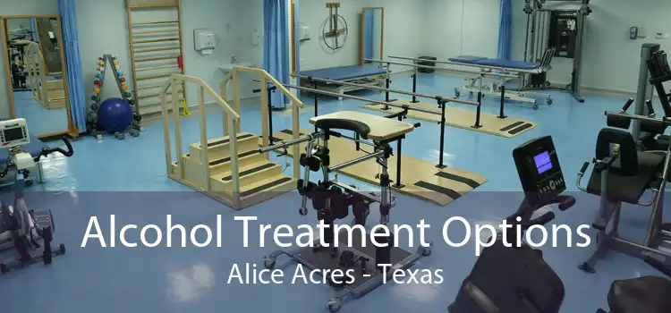 Alcohol Treatment Options Alice Acres - Texas