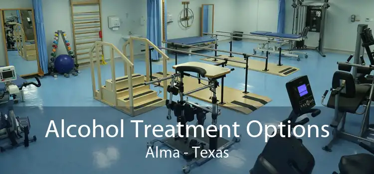 Alcohol Treatment Options Alma - Texas